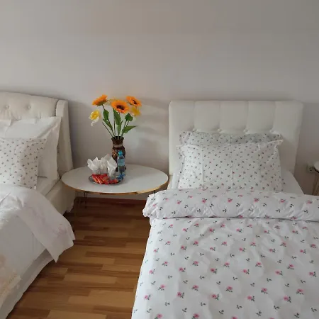 Casa Irina * פיאטרה ניאמט