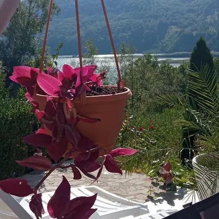 Casa Irina *